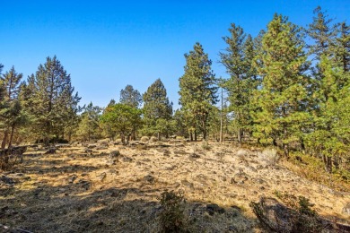 Premier View Lot at the Running Y Resort - Now $127,500! Build on Running Y Ranch Resort in Oregon - for sale on GolfHomes.com, golf home, golf lot