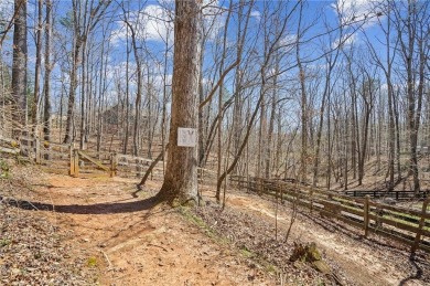 Custom-Built Lake Home w/ the only  PRIVATE SWIM PLATFORM in the on Chestatee Golf Club in Georgia - for sale on GolfHomes.com, golf home, golf lot