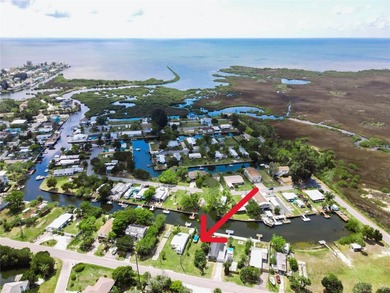 DIRECT GULF ACCESS with LOW IMPACTS FEES and NO HOA! Located on Sea Pines Golf Club in Florida - for sale on GolfHomes.com, golf home, golf lot