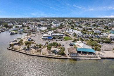 DIRECT GULF ACCESS with LOW IMPACTS FEES and NO HOA! Located on Sea Pines Golf Club in Florida - for sale on GolfHomes.com, golf home, golf lot