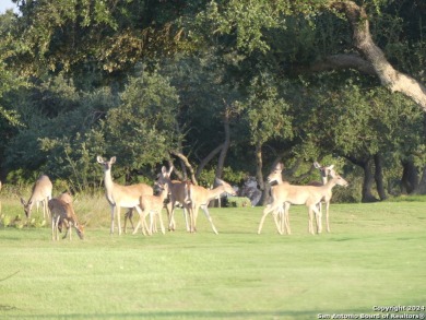 Nestled within the serene landscapes of the Texas Hill Country on Vaaler Creek Golf Club in Texas - for sale on GolfHomes.com, golf home, golf lot