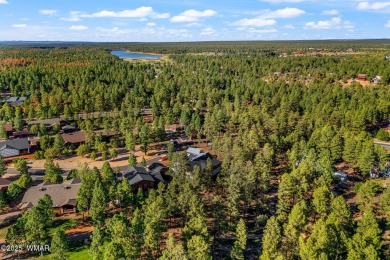 Incredible, elevated VIEWS of the forest and the tee box on the on Bison Golf and Country Club in Arizona - for sale on GolfHomes.com, golf home, golf lot