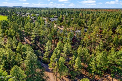 Incredible, elevated VIEWS of the forest and the tee box on the on Bison Golf and Country Club in Arizona - for sale on GolfHomes.com, golf home, golf lot