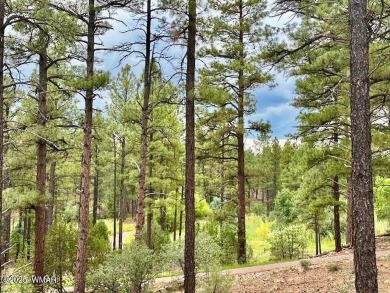 Incredible, elevated VIEWS of the forest and the tee box on the on Bison Golf and Country Club in Arizona - for sale on GolfHomes.com, golf home, golf lot