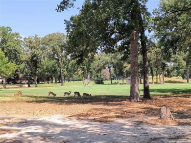 GREAT OPPORTUNITY to Own a PRIME LOT! Don't miss this incredible on Pinnacle Golf and Boat Club in Texas - for sale on GolfHomes.com, golf home, golf lot