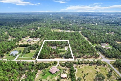 Stunning 4-Bed, 3-Bath Pine Ridge Home on 3.3 Acres! 
 This on Pine Ridge Community Golf and Country Club in Florida - for sale on GolfHomes.com, golf home, golf lot