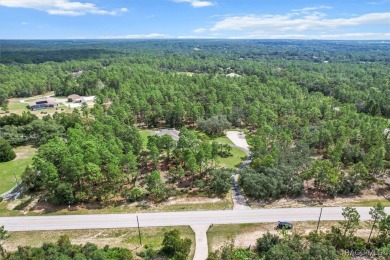 Stunning 4-Bed, 3-Bath Pine Ridge Home on 3.3 Acres! 
 This on Pine Ridge Community Golf and Country Club in Florida - for sale on GolfHomes.com, golf home, golf lot