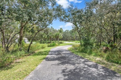 Stunning 4-Bed, 3-Bath Pine Ridge Home on 3.3 Acres! 
 This on Pine Ridge Community Golf and Country Club in Florida - for sale on GolfHomes.com, golf home, golf lot