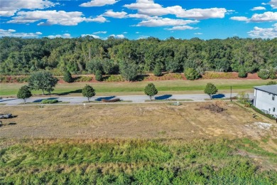 Introducing 16626 Bolsena Drive, an extraordinary opportunity to on Bella Collina Golf Club in Florida - for sale on GolfHomes.com, golf home, golf lot