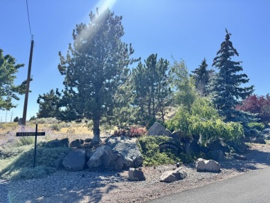 Three lots totaling 2.89 acres offer a rare opportunity to build on Reames Golf and Country Club in Oregon - for sale on GolfHomes.com, golf home, golf lot