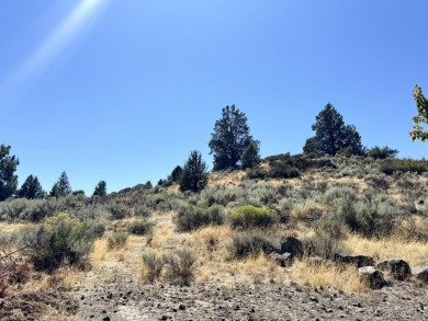 Three lots totaling 2.89 acres offer a rare opportunity to build on Reames Golf and Country Club in Oregon - for sale on GolfHomes.com, golf home, golf lot