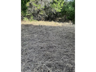 This lot is just a short walk to the Ash Pool, mailboxes, and on White Bluff Resort - Old Course in Texas - for sale on GolfHomes.com, golf home, golf lot