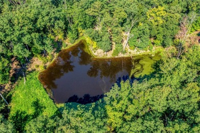 Discover the perfect blend of nature and tranquility on this on Innsbrook Resort Golf Course in Missouri - for sale on GolfHomes.com, golf home, golf lot