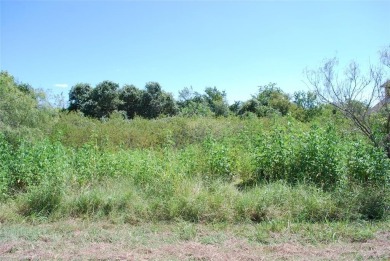 Get away from in all in White Bluff Resort.  Enjoy peace & on White Bluff Resort - New Course in Texas - for sale on GolfHomes.com, golf home, golf lot