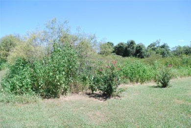 Get away from in all in White Bluff Resort.  Enjoy peace & on White Bluff Resort - New Course in Texas - for sale on GolfHomes.com, golf home, golf lot
