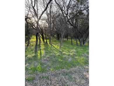 Lot is semi-cleared. Has hardwoods, very few cedars.  Enjoy on White Bluff Resort - New Course in Texas - for sale on GolfHomes.com, golf home, golf lot