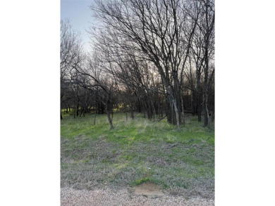 Lot is semi-cleared. Has hardwoods, very few cedars.  Enjoy on White Bluff Resort - New Course in Texas - for sale on GolfHomes.com, golf home, golf lot