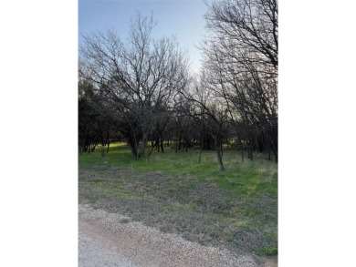 Lot is semi-cleared. Has hardwoods, very few cedars.  Enjoy on White Bluff Resort - New Course in Texas - for sale on GolfHomes.com, golf home, golf lot