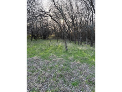 Lot is semi-cleared. Has hardwoods, very few cedars.  Enjoy on White Bluff Resort - New Course in Texas - for sale on GolfHomes.com, golf home, golf lot