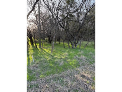 Lot is semi-cleared. Has hardwoods, very few cedars.  Enjoy on White Bluff Resort - New Course in Texas - for sale on GolfHomes.com, golf home, golf lot
