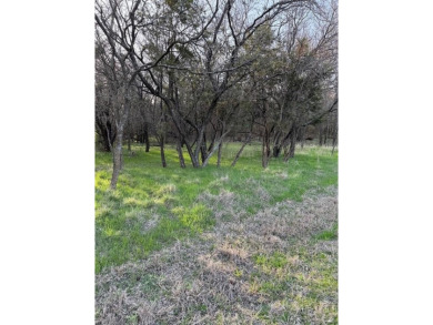 Lot is semi-cleared. Has hardwoods, very few cedars.  Enjoy on White Bluff Resort - New Course in Texas - for sale on GolfHomes.com, golf home, golf lot