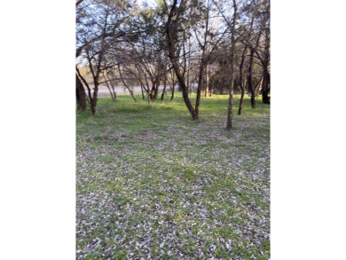 Lot is semi-cleared. Has hardwoods, very few cedars.  Enjoy on White Bluff Resort - New Course in Texas - for sale on GolfHomes.com, golf home, golf lot