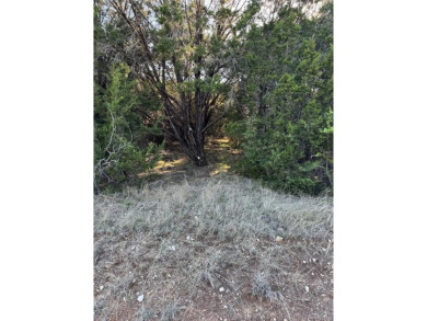 White Bluff Resort consists of: 2-World Class 18-Hole Golf on White Bluff Resort - New Course in Texas - for sale on GolfHomes.com, golf home, golf lot