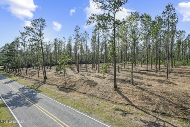 Welcome to your slice of paradise in Hidden Creek Estates on Fallen Oak Golf Club in Mississippi - for sale on GolfHomes.com, golf home, golf lot