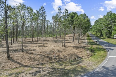 Welcome to your slice of paradise in Hidden Creek Estates on Fallen Oak Golf Club in Mississippi - for sale on GolfHomes.com, golf home, golf lot