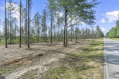 Welcome to your slice of paradise in Hidden Creek Estates on Fallen Oak Golf Club in Mississippi - for sale on GolfHomes.com, golf home, golf lot