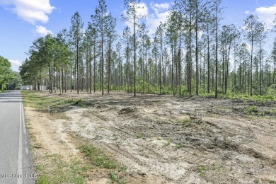 Welcome to your slice of paradise in Hidden Creek Estates on Fallen Oak Golf Club in Mississippi - for sale on GolfHomes.com, golf home, golf lot