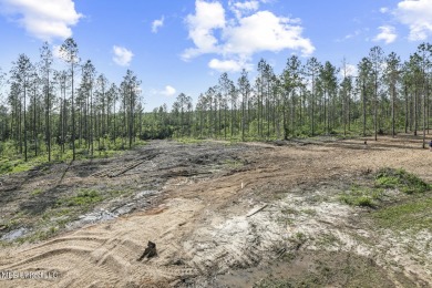 Welcome to your slice of paradise in Hidden Creek Estates on Fallen Oak Golf Club in Mississippi - for sale on GolfHomes.com, golf home, golf lot