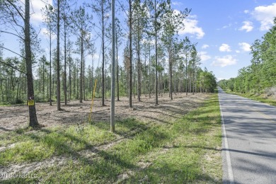 Welcome to your slice of paradise in Hidden Creek Estates on Fallen Oak Golf Club in Mississippi - for sale on GolfHomes.com, golf home, golf lot