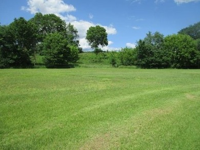 Only 2 lots left on Gold Rush Court, don't miss your opportunity on Reedsburg Country Club in Wisconsin - for sale on GolfHomes.com, golf home, golf lot