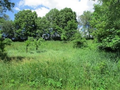 Only 2 lots left on Gold Rush Court, don't miss your opportunity on Reedsburg Country Club in Wisconsin - for sale on GolfHomes.com, golf home, golf lot