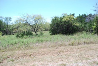 Enjoy peace & tranquility of living in 24-7 gated community on White Bluff Resort - New Course in Texas - for sale on GolfHomes.com, golf home, golf lot