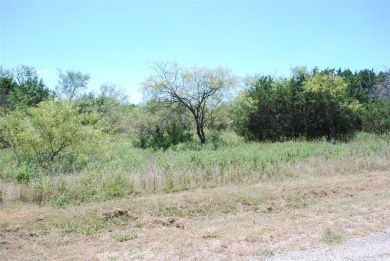 Enjoy peace & tranquility of living in 24-7 gated community on White Bluff Resort - New Course in Texas - for sale on GolfHomes.com, golf home, golf lot