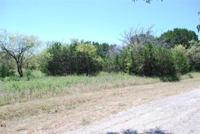 Enjoy peace & tranquility of living in 24-7 gated community on White Bluff Resort - New Course in Texas - for sale on GolfHomes.com, golf home, golf lot