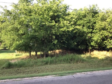 Located in a secluded area of White Bluff. Enjoy peace & on White Bluff Resort - New Course in Texas - for sale on GolfHomes.com, golf home, golf lot