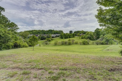 Spacious, Unique Home on 3.46 Acres with Room to Grow and on Ridges Golf and Country Club in Tennessee - for sale on GolfHomes.com, golf home, golf lot
