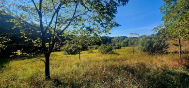 Tucked between Silver Lake and Stony Lake and just minutes from on Benona Shores Golf Course in Michigan - for sale on GolfHomes.com, golf home, golf lot