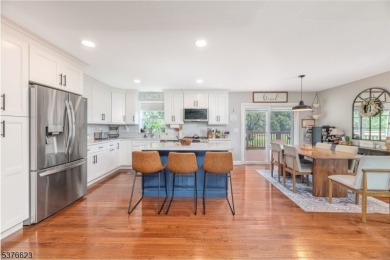 METICULOUSLY UPDATED 3 BEDROOM, 2.1 BATH BI-LEVEL TUCKED AWAY ON on High Point Golf Club in New Jersey - for sale on GolfHomes.com, golf home, golf lot