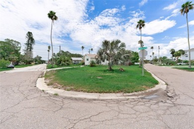 1580 Arizona Ave NE, St. Petersburg, FL 33703 presents a rare on The Renaisssance Vinoy Golf Club in Florida - for sale on GolfHomes.com, golf home, golf lot