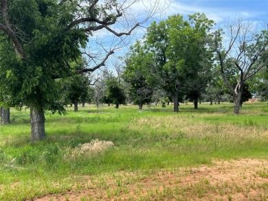 Hello and welcome to Pecan Plantation lot 3964 address 1730 on Pecan Plantation Country Club in Texas - for sale on GolfHomes.com, golf home, golf lot