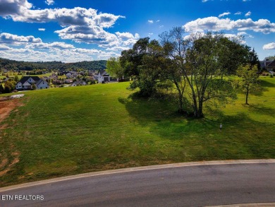 Build the perfect home on this lot and get great views of the TN on Tennessee National Golf Club in Tennessee - for sale on GolfHomes.com, golf home, golf lot