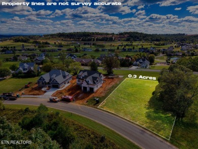 Build the perfect home on this lot and get great views of the TN on Tennessee National Golf Club in Tennessee - for sale on GolfHomes.com, golf home, golf lot