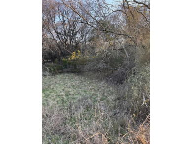 How would you like to walk out your back door, walk up the small on White Bluff Resort - Old Course in Texas - for sale on GolfHomes.com, golf home, golf lot