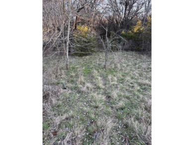 How would you like to walk out your back door, walk up the small on White Bluff Resort - Old Course in Texas - for sale on GolfHomes.com, golf home, golf lot