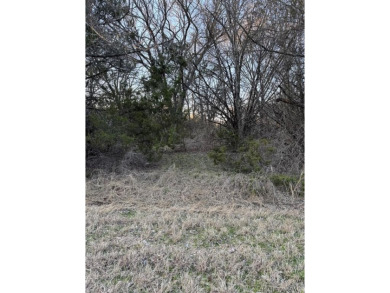 How would you like to walk out your back door, walk up the small on White Bluff Resort - Old Course in Texas - for sale on GolfHomes.com, golf home, golf lot