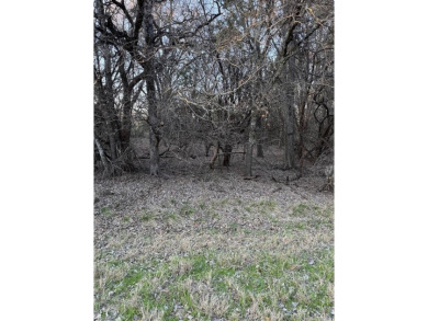 How would you like to walk out your back door, walk up the small on White Bluff Resort - Old Course in Texas - for sale on GolfHomes.com, golf home, golf lot